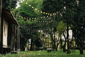 Lichterketten mieten für Gartenpartys 